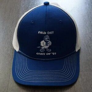Emory Eagles Baseball Cap